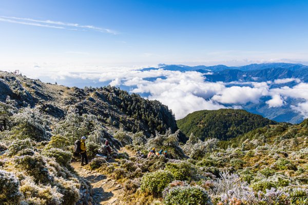 南二段撤退行2743228