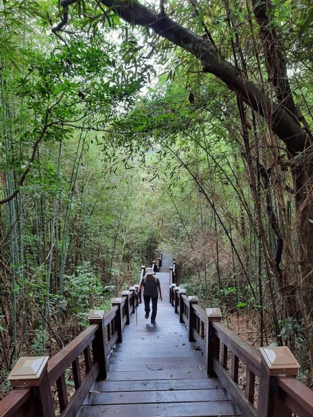 《台中》后里鳳凰山觀音山步道O巡08301083665