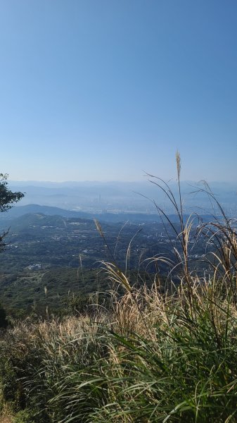 2026-0213 苗圃-凱達格蘭山-七星錐-七星山南峰-小油坑-竹子湖-水車寮步道-湖田猴崁步道-3005658