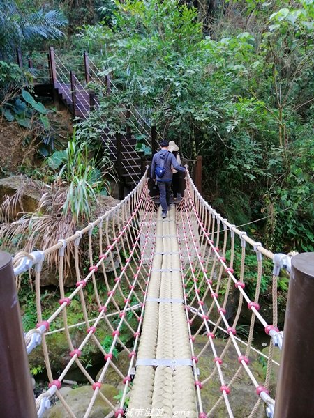 台中~仙氣繩橋山林環繞。 蝙蝠洞登山步道1295488