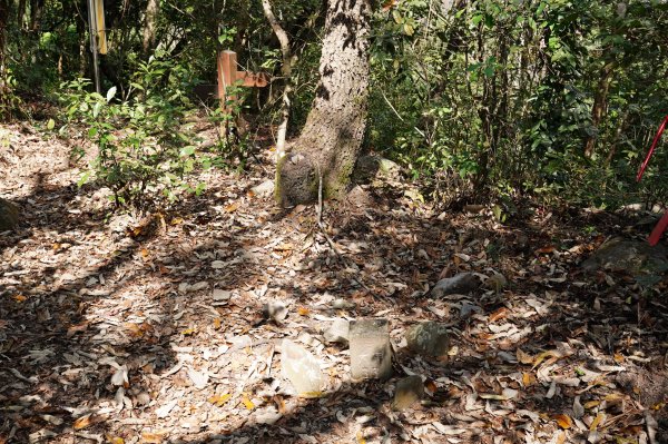 臺中 和平 屋我尾山、十文溪山2699449
