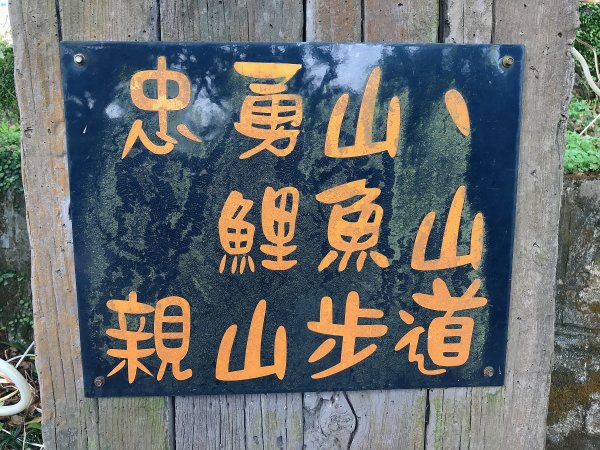 ~  臺北大縱走  第五段  ~1335023
