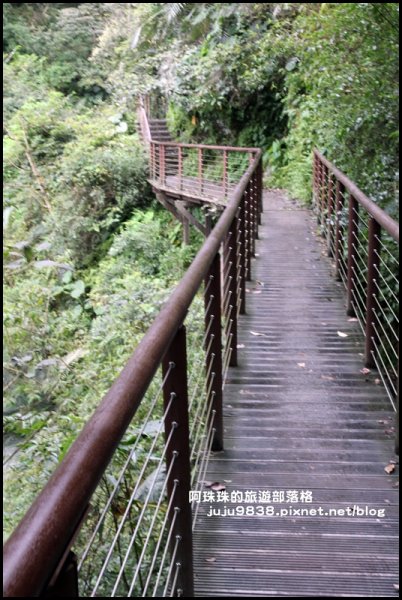 新寮瀑布步道是一景色優美親民好走的步道585335