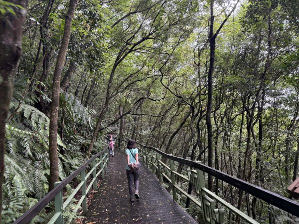 大崙頭山 2025/05/302811059