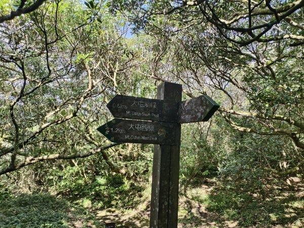 [百山百鳥尋旅-11/15] 2025_0927 大屯主峰-連峰步道_大屯山南峰2899348