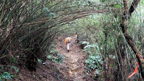 基隆八上七下縱走2785119