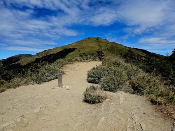 小奇萊步道-(南投)臺灣百大必訪步道2795658