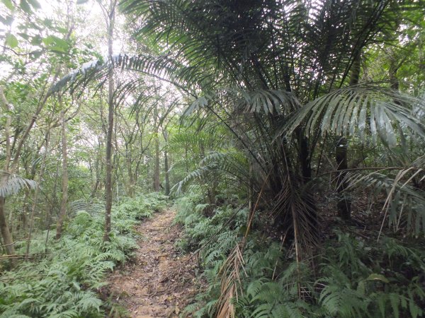 百二階古道+苕谷瀑布+逸仙山+泰和樓2734461