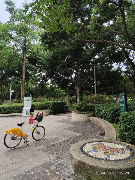 大安森林公園、永康公園、大港墘公園 - 內科嘉年華會 戲曲•特技之夜2577766