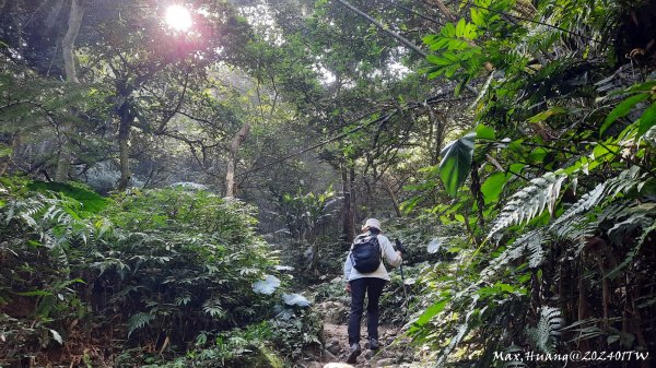 《桃園》一等郊山｜石門山登山步道O繞202401062397563