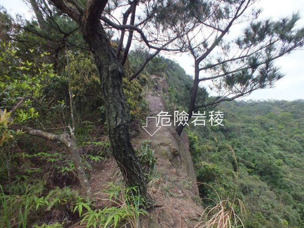 汐止區彩虹橋岩稜+柯子林山+金明山+如意湖O型2776149