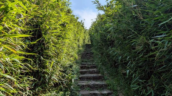 大屯山主峰步道3067637
