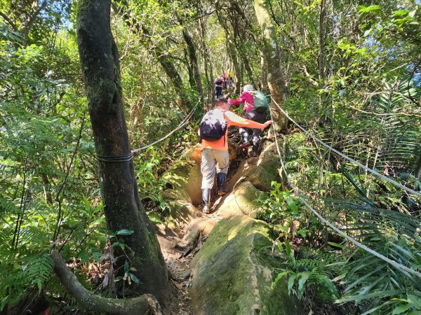20240114指南宮站經猴山岳二格山鵝角格山至貓空站2430807