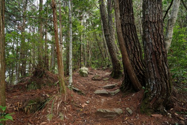 台中 和平 馬崙山2796941