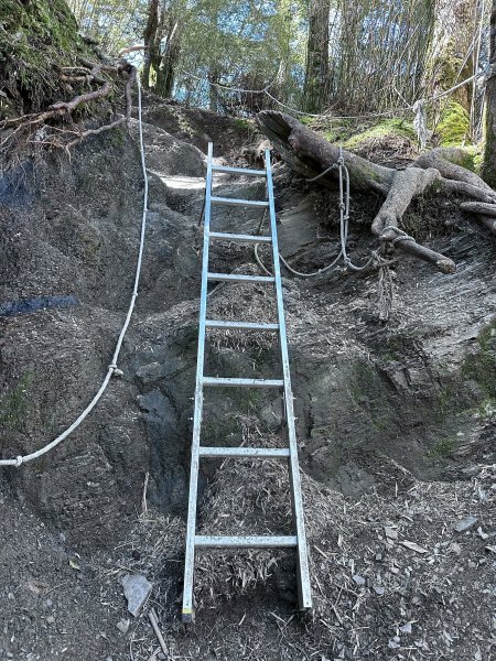 小奇萊步道2777623