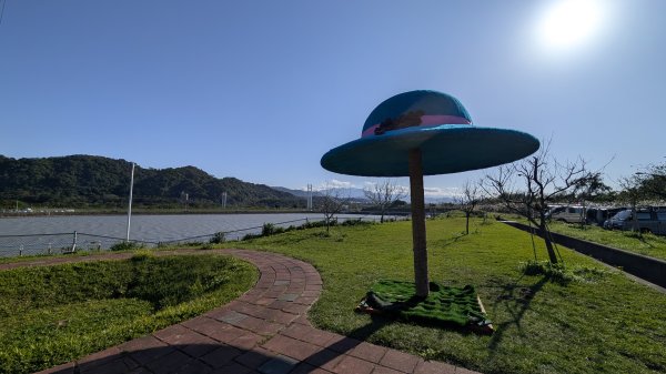 115.01.03山水步道-中庄吊橋-月眉落羽松之旅2977060