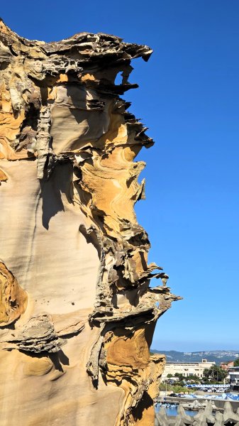 新北近郊小而美的賞景好路線野柳駱駝峰玉田古道O型2897891