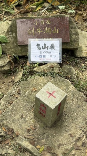 20251025 小百岳竹子尖山及刣牛湖山2925023