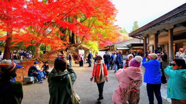 岩手縣中尊寺2930149