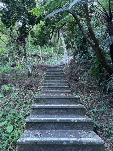 和美山螢火蟲段2873336