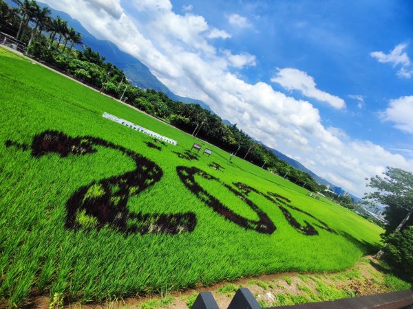 2025台北大縱走二刷2818078