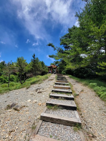 2026-0705-大雪山神木啞口健行3082588
