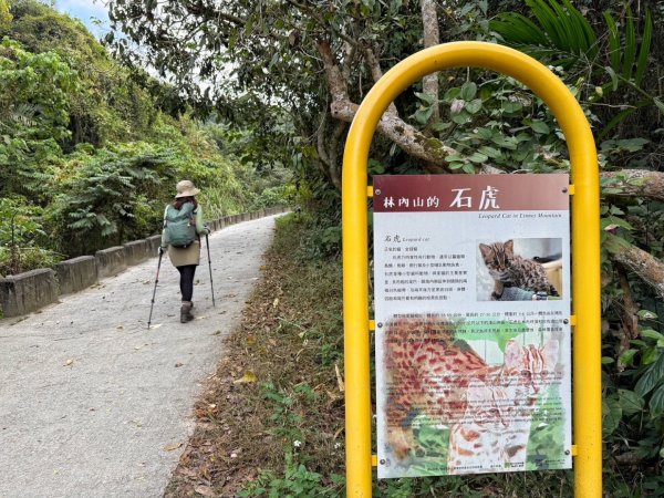 龍過脈森林步道2960922