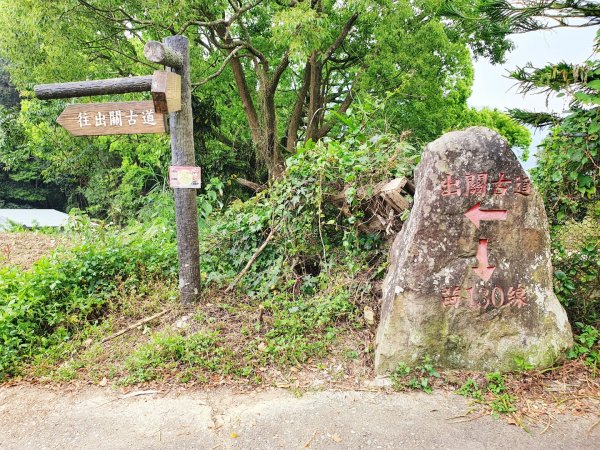 苗栗關刀山，出關古道（聖關段），鳴鳳古道，南隘勇古道，綠色古道，延平古道，新竹飛鳳山1674274