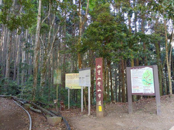 加里山（鹿場登山口往返）934080