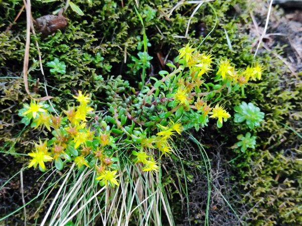 南湖群峰五天四夜2871894