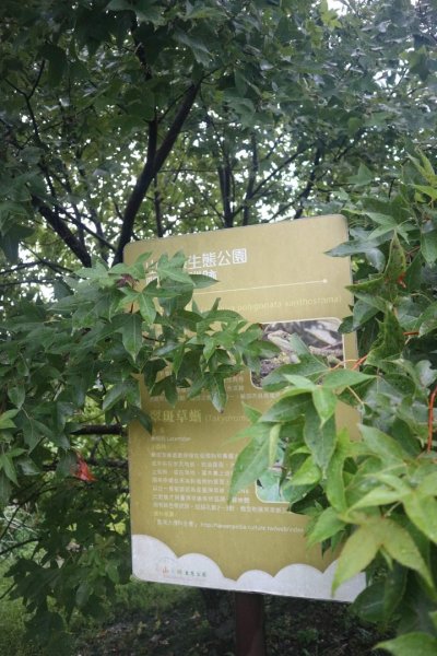 小百岳NO.14 深坑土庫岳。更寮古道 山豬窟尖，小南港山，南港山水綠生態公園2258398