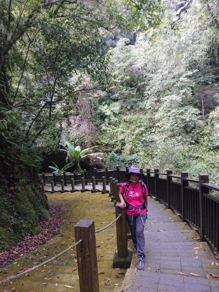 猿山、獅頭山O走1658148