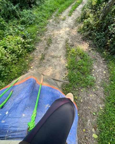 尼泊爾奇旺國家公園4天三夜2788995