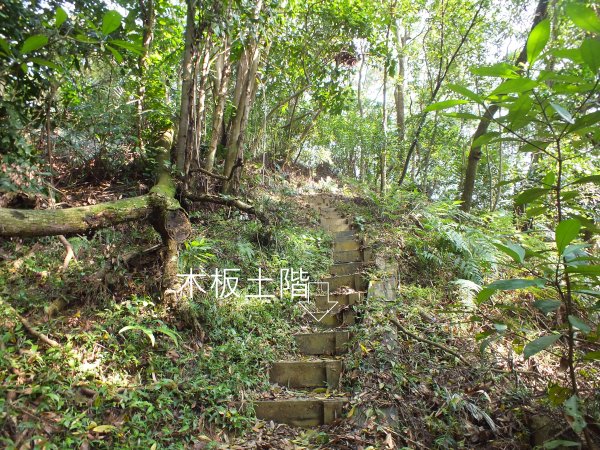 三峽區鳶尾山+福德坑東峰+福德坑山+鳶山彩壁+五十分山+壽山+龍山寺2775748