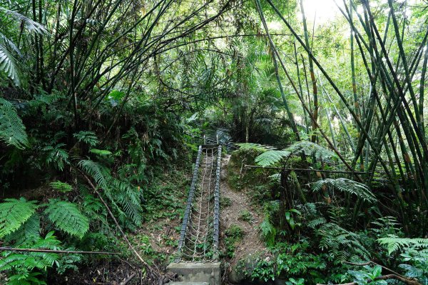 新北 平溪 嶺腳寮山2601054