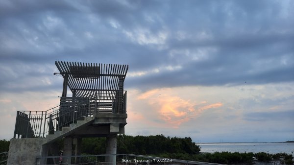 《彰化》海空七夕｜芳苑海空步道濕地紅樹林202408102569277