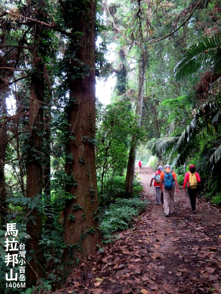 馬那邦山-珠湖登山口攻頂折返 678540