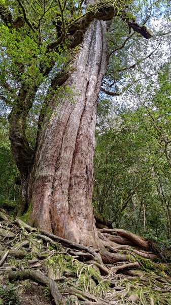 仙女散落的珍珠2723931