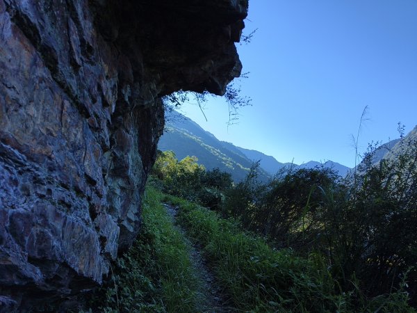 [玉山尋寶任務-07/12] 2025_0824 八通關雲龍瀑布步道2870614