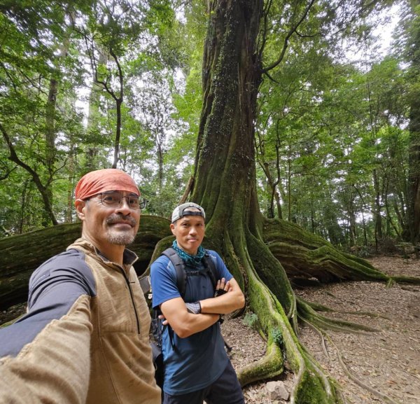 20251014雪見遊憩區 🚴‍♂️咖搭車走司馬限林道上東洗水山兩刷北坑山至大板根2916434