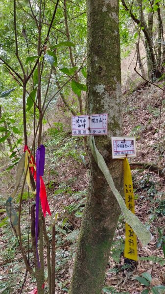 埔里六秀之3關刀山（順走關刀山西峰/西關刀山北峰）1644278