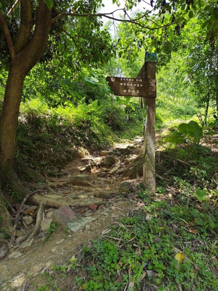 臺北大縱走第六段 中華科技大學至捷運麟光站2764449