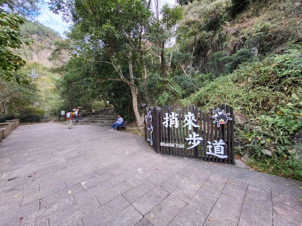 2025.11.30 谷關七雄 No.4 波津加山，不給休的蜂2952121