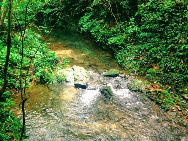 淡蘭古道中路【崩山坑-石空段】封面