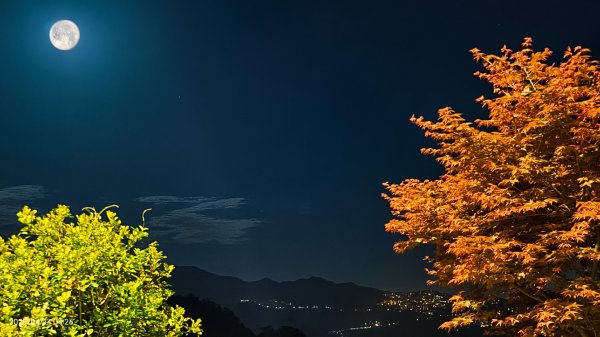 #翡翠水庫壩頂 #日出雲海 #火燒雲 #霞光 #月圓 #松月櫻 #鱷魚島雲海 4/14 & 162760617