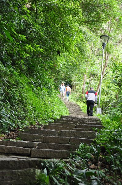 觀音山 硬漢嶺203974