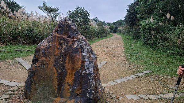 2021-1230 百二崁、燦光寮、貂山古道、地質公園步道O型1565529