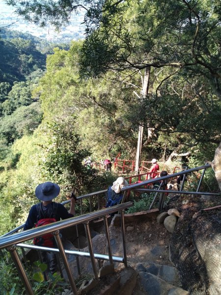 鼓山尖峰泡茶趣---田中森林登山步道811536