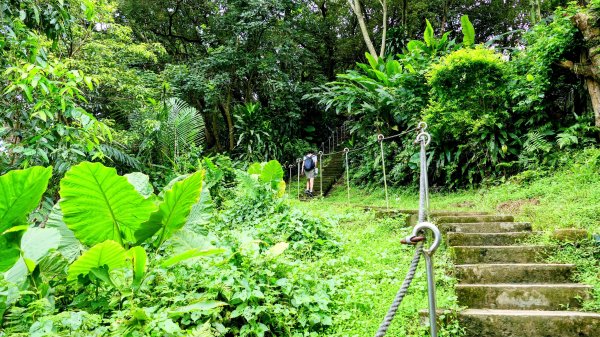 微笑山線405高地段2844150