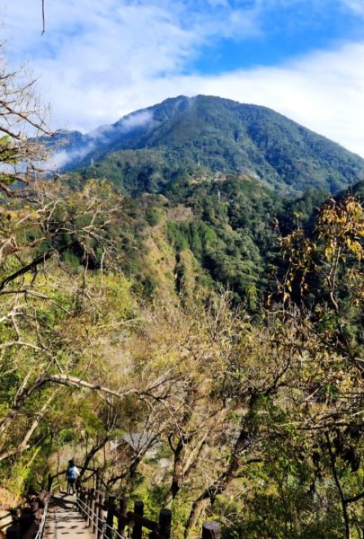 【中級山】谷關七雄波津加山2742315